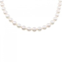 シルバークラスプ アコヤパール ネックレス 7.5-8mm
