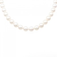 【新品】シルバークラスプ アコヤパール ネックレス 7-7.5mm