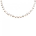 シルバークラスプ アコヤパール ネックレス 6-6.5mm