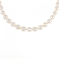 シルバークラスプ アコヤパール ネックレス 7-7.5mm
