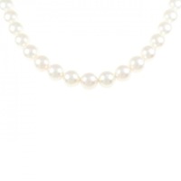 シルバークラスプ アコヤパール ネックレス 8.0-8.5mm