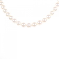 タサキ アコヤパール ネックレス 7-7.5mm