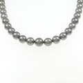 シルバークラスプ 黒蝶パール ネックレス 8.0-10.5mm