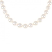 シルバークラスプ アコヤパール ネックレス 8-8.5mm