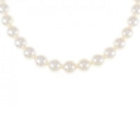 シルバークラスプ アコヤパール ネックレス 7-7.5mm