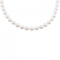シルバークラスプ アコヤパール ネックレス 7.5-8mm