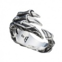 Bizarre(ビザール) Archaeopteryxルートシルバーリング　SRP094SV