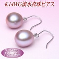 K14WG淡水真珠ピアス（パープルカラー／7.5〜7.0mm）