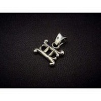 TRAVIS WALKER(トラヴィスワーカー)　星座ペンダント　双子座[GEMINI]　【革紐付】　PDSZ05