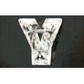 「Y」字形 ダイヤモンド ルース 0.200ct 【 イニシャルが「Y」の方にオススメのアルファベットダイヤモンド 】