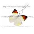 【ネクロマンス NECROMANCE】リアルバタフライウィングネックレス Real Butterfly Wing Necklace ＜ツバベニチョウ＞ 蝶々 羽