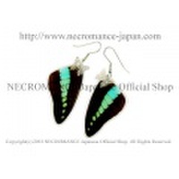 【ネクロマンス NECROMANCE】リアルバタフライウィングピアス Real Butterfly Wing Pierce ＜アオスジアゲハ 前翅＞ 蝶々 羽