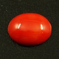 サンゴ ルース (裸石) 1.04ct　【 3月 誕生石 】( さんご 珊瑚 コーラル coral 朱色 オーバルカボションカット)