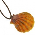 サンライズシェル ハワイの大自然が作り出した希少なサンライズシェルネックレス