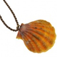 サンライズシェル ハワイの大自然が作り出した希少なサンライズシェルネックレス