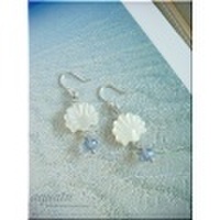 シェルパーツのフックピアス(SV925フック)/イヤリング