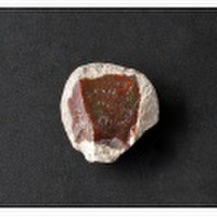 ツーソン2018！激安!貴重なノジュールオパールの原石 8 /10月 【天然石・パワーストーン】