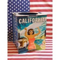 ノックダウン ダストボックス/組み立て式ゴミ箱/HAVANA BASE★