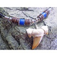 海のお守り★サメ歯化石チョーカー【TCK-3M-104】