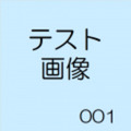 支店注文テストオプション入力必須