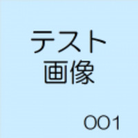 支店注文テストオプション入力必須