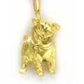 柴犬　Ａ　［ＧＯＬＤ］