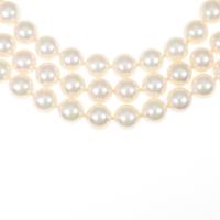 WAKO アコヤパールネックレス