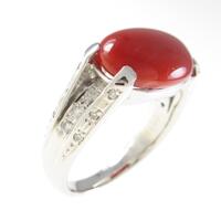 PT サンゴリング