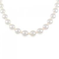 シルバークラスプ 白蝶パール ネックレス 10?12.5mm