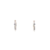 エテ フープ ダイヤモンド ピアス 0.02CT