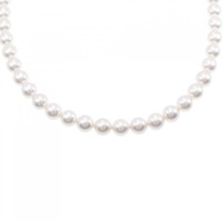シルバークラスプ アコヤパール ネックレス 7.5-8mm