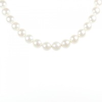 【新品】シルバークラスプ アコヤパール ネックレス 7.5-8mm