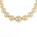 シルバークラスプ 白蝶パール ネックレス 10-14.5mm