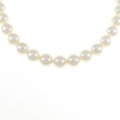 シルバークラスプ アコヤパール ネックレス 7.5-8mm