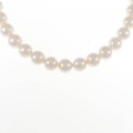 シルバークラスプ アコヤパール ネックレス 7-7.5mm