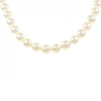 シルバークラスプ アコヤパール ネックレス 6.5-7mm