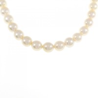 シルバークラスプ アコヤパール ネックレス 8-8.5mm