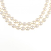 シルバークラスプ アコヤパール ネックレス 6.5-7mm