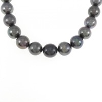 シルバークラスプ 黒蝶パール ネックレス 8.5-11mm
