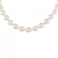 シルバークラスプ アコヤパール ネックレス 7.5-8mm