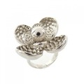 セルジオロッシ sergio rossi RING