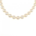 シルバークラスプ アコヤパール ネックレス 7-7.5mm