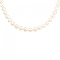 シルバークラスプ アコヤパール ネックレス 7-7.5mm