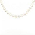 シルバークラスプ アコヤパール ネックレス 7.5-8mm