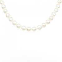 シルバークラスプ アコヤパール ネックレス 7.5-8mm