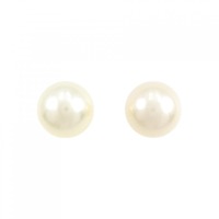 PT 白蝶パール ピアス 12.5mm