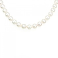 【新品】シルバークラスプ/WGK14 アコヤパール ネックレス イヤリングセット 7-7.5mm