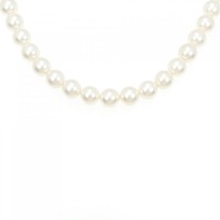 シルバークラスプ アコヤパール ネックレス 7-7.5mm