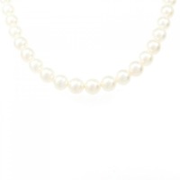 シルバークラスプ アコヤパール ネックレス 6.5-7mm