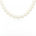 シルバークラスプ アコヤパール ネックレス 7.5-8mm